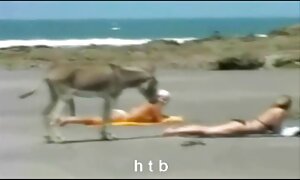 美乳ファック 女の子 向け エロ 画像